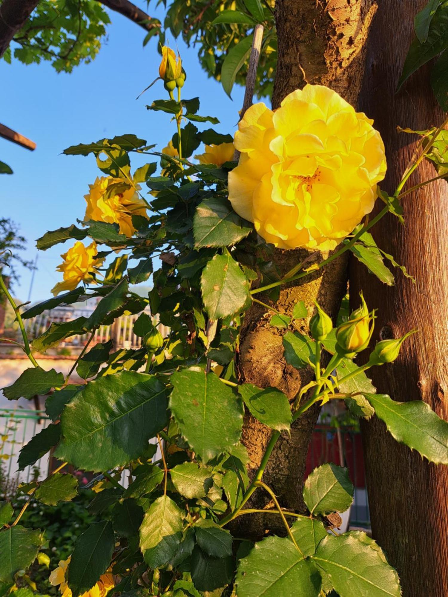 B&B Casa Vacanza Cioffi 维克艾库塞 客房 照片