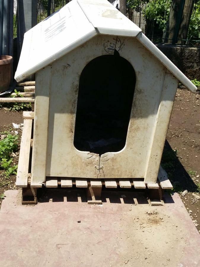 B&B Casa Vacanza Cioffi 维克艾库塞 外观 照片