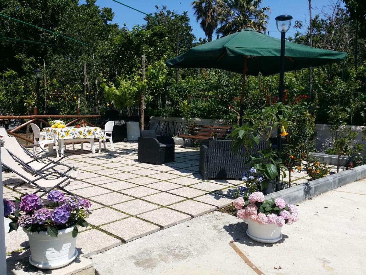 B&B Casa Vacanza Cioffi 维克艾库塞 外观 照片