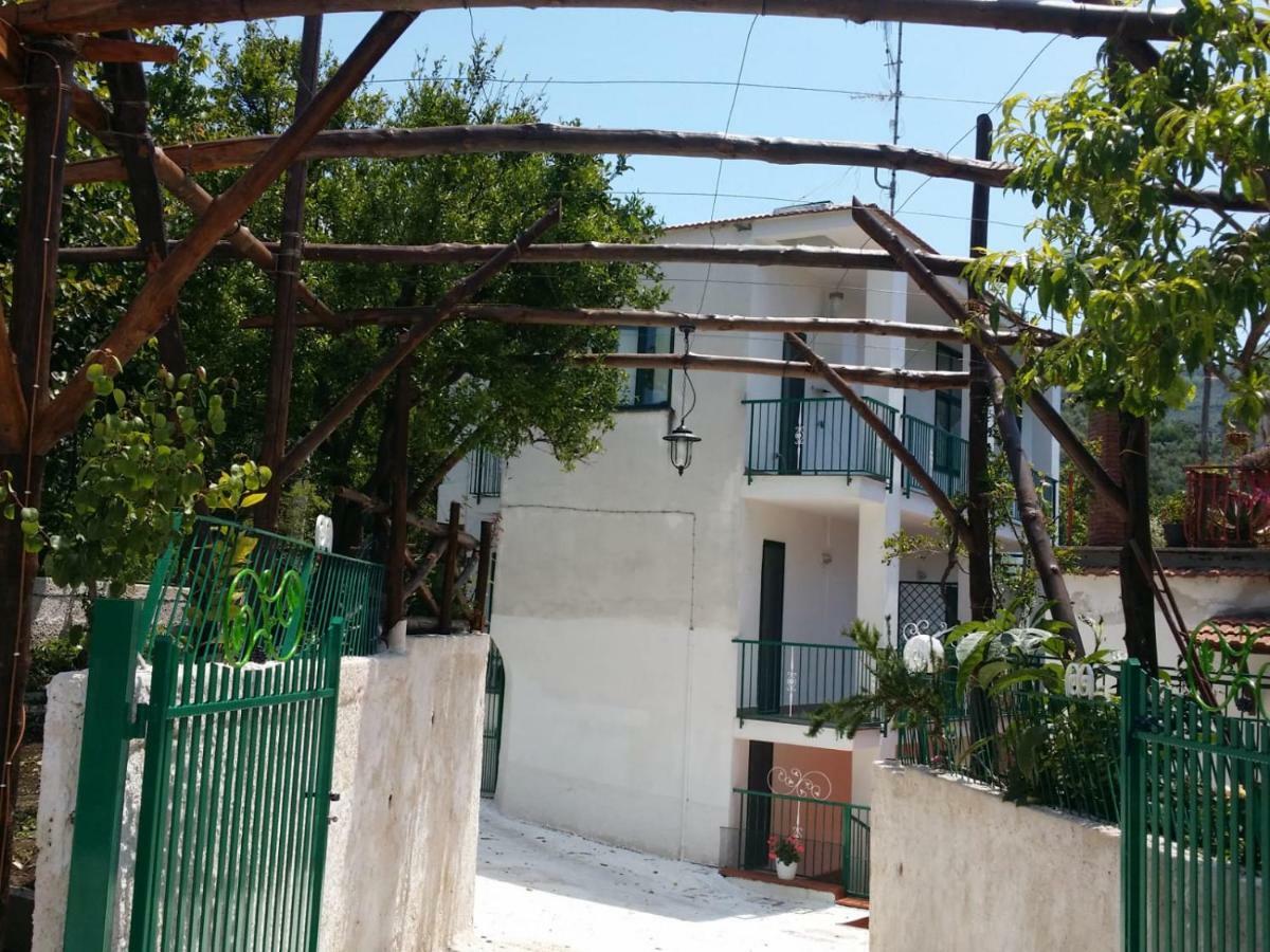 B&B Casa Vacanza Cioffi 维克艾库塞 外观 照片