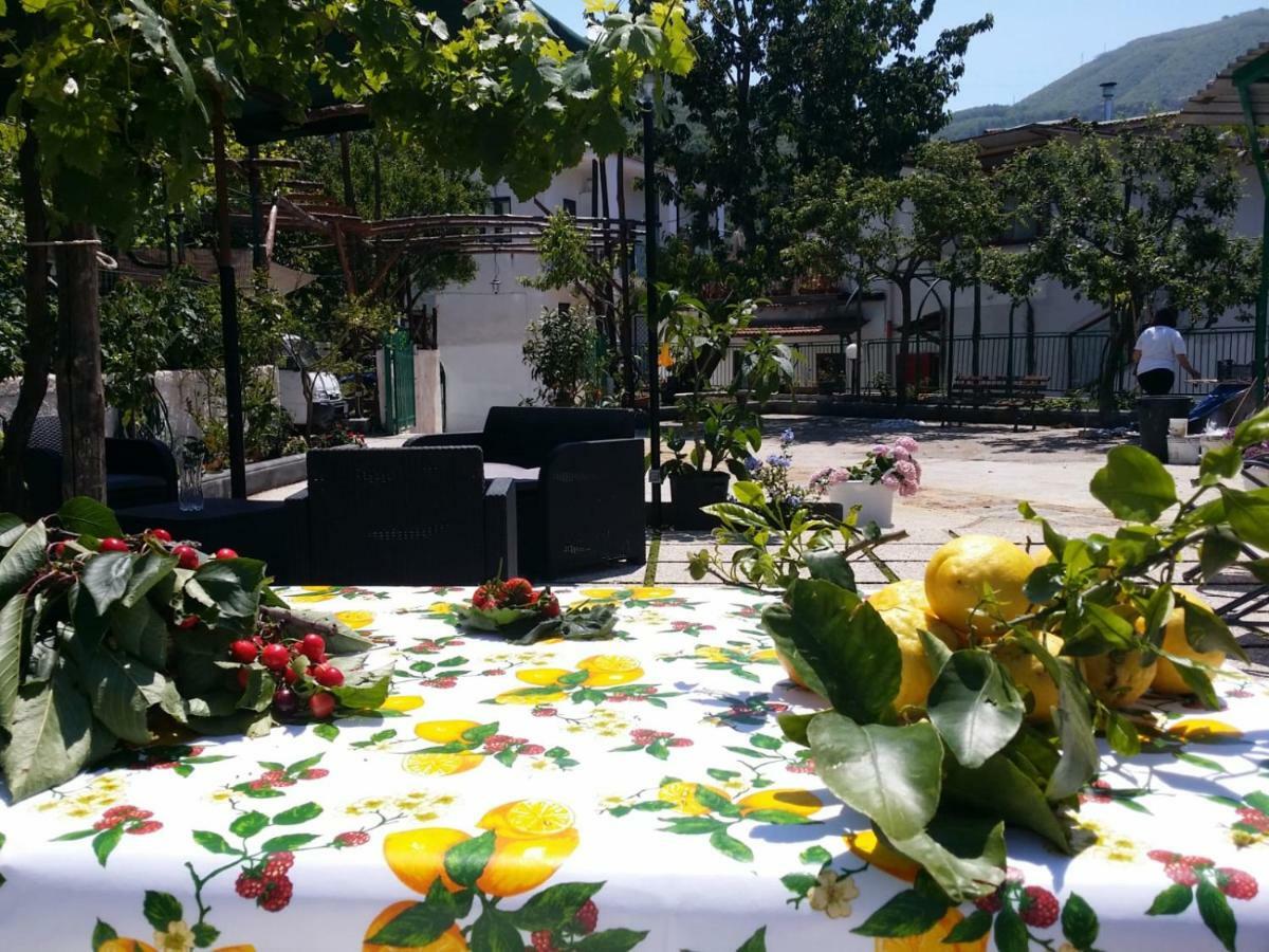 B&B Casa Vacanza Cioffi 维克艾库塞 外观 照片