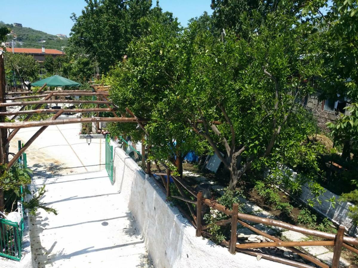 B&B Casa Vacanza Cioffi 维克艾库塞 外观 照片