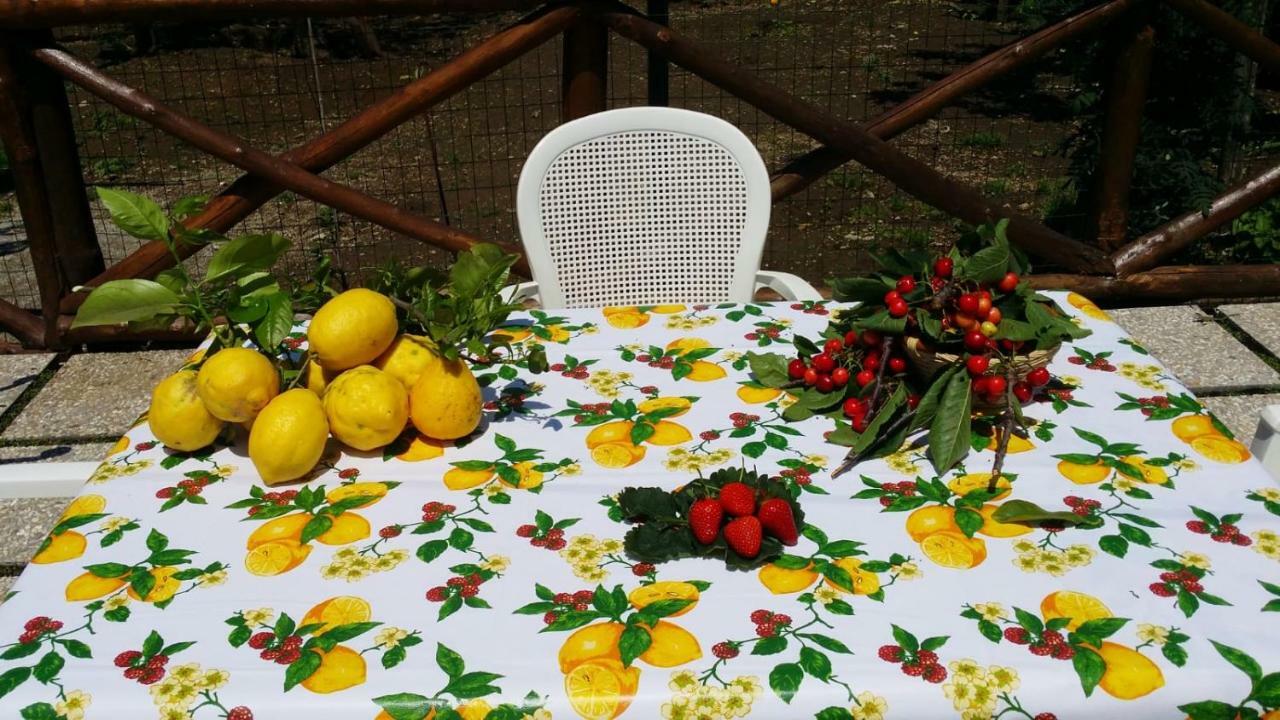 B&B Casa Vacanza Cioffi 维克艾库塞 外观 照片